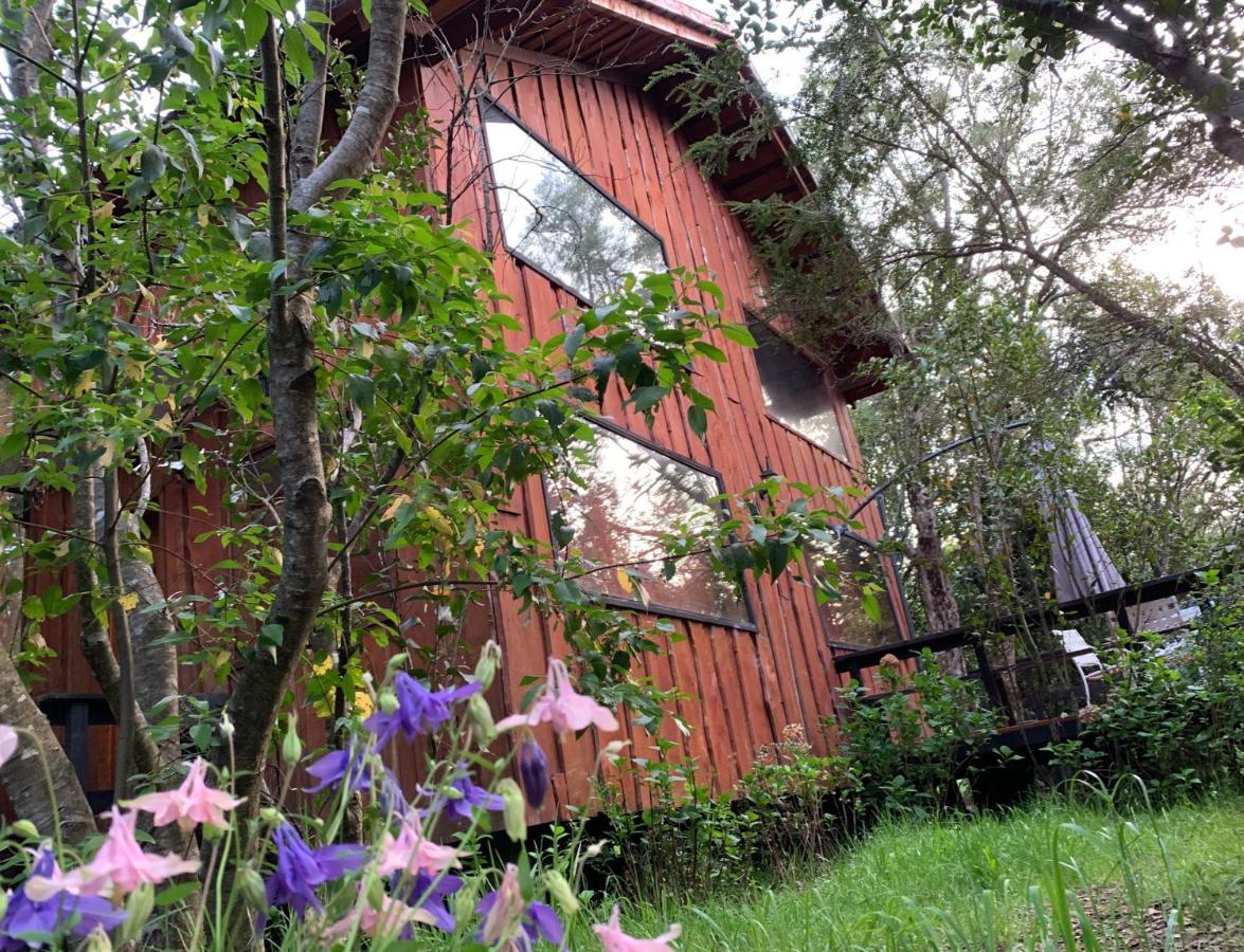 Cabanas Natural Park Lodge Pucon Exterior photo