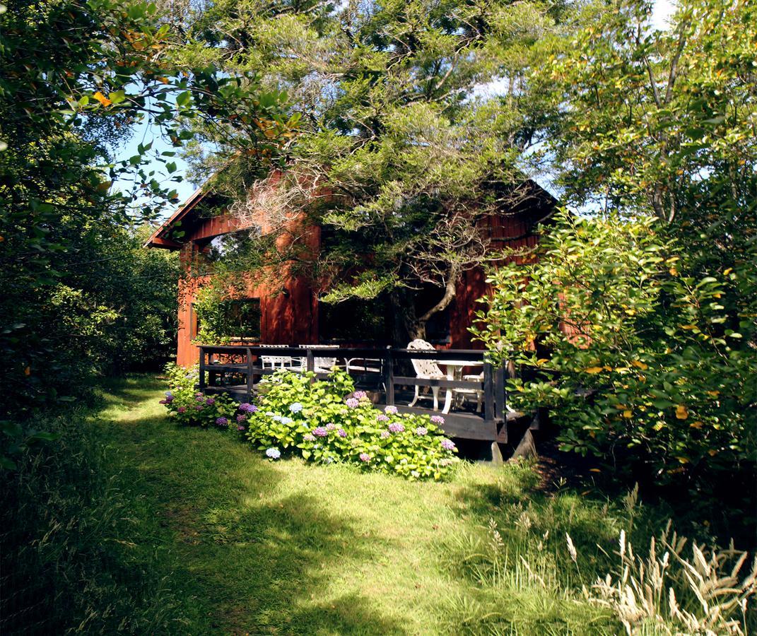 Cabanas Natural Park Lodge Pucon Exterior photo